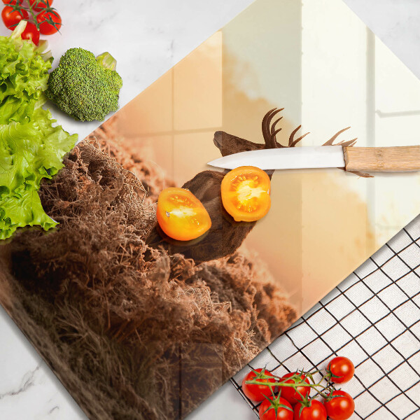 Chopping board glass Deer in the field