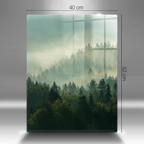 Chopping board glass Landscape view of the forest