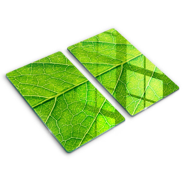 Glass chopping board Leaf lines nature