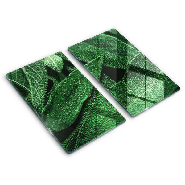 Glass chopping board Plant leaves