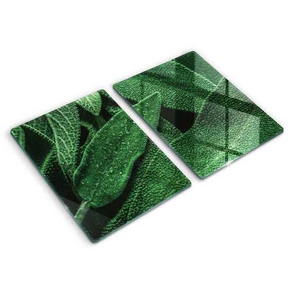 Glass chopping board Plant leaves