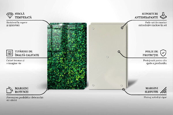 Glass chopping board Plant small leaves