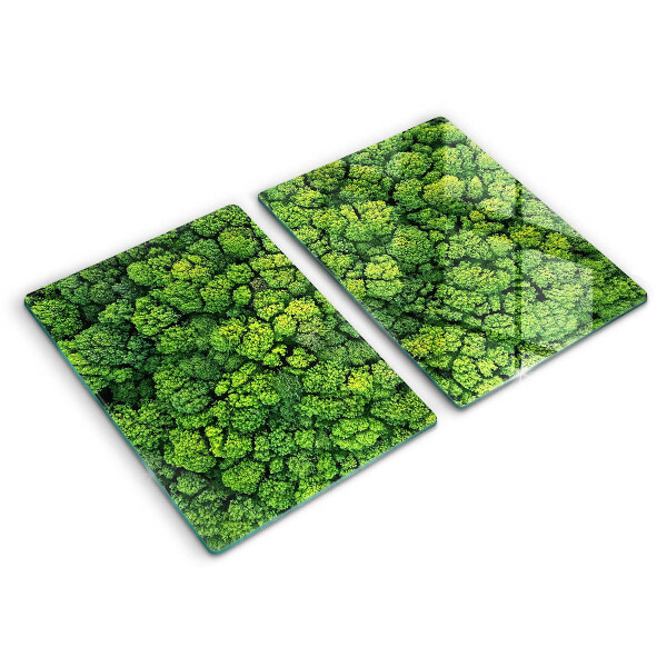 Glass chopping board Nature - moss plant
