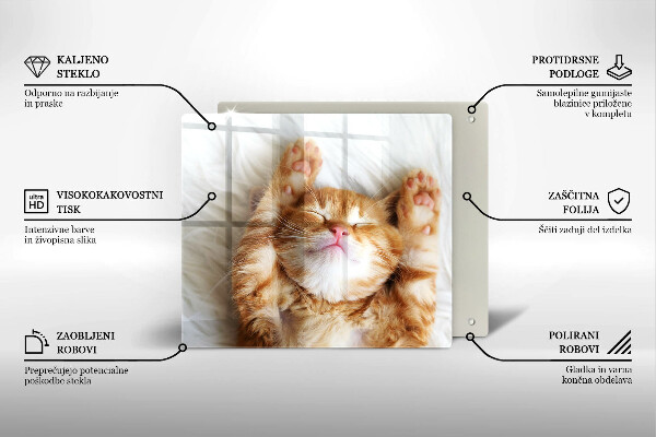 Kitchen worktop protector Little sweet kitty