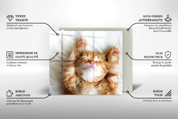 Kitchen worktop protector Little sweet kitty