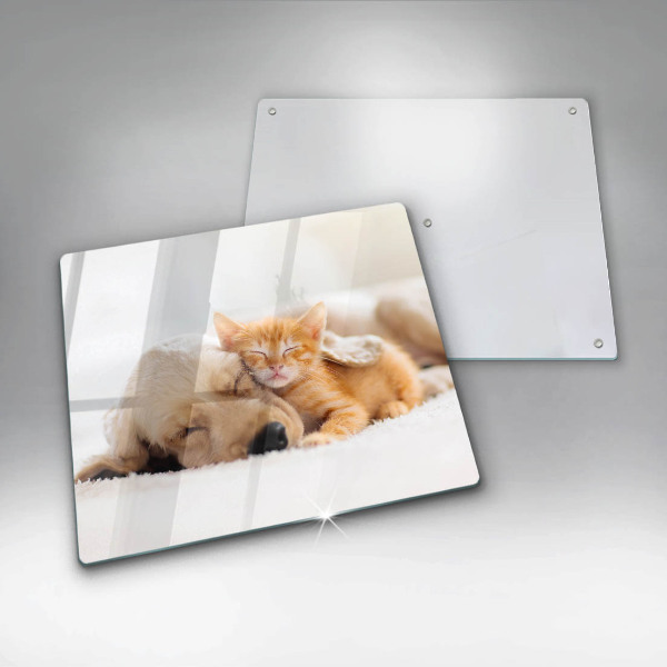 Glass worktop saver Animals dog and cat