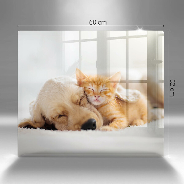 Glass worktop saver Animals dog and cat