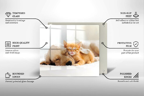 Glass worktop saver Animals dog and cat