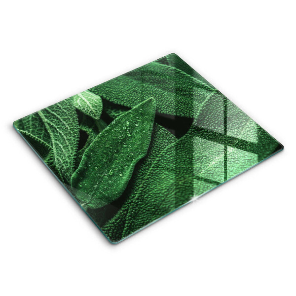 Kitchen worktop protector Plant leaves