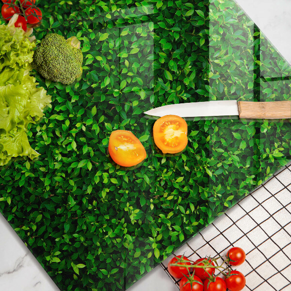 Glass worktop saver Plant small leaves