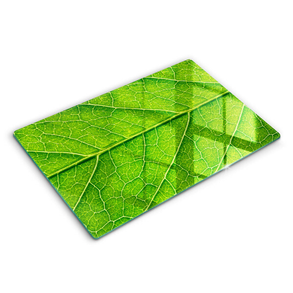 Worktop saver Leaf lines nature