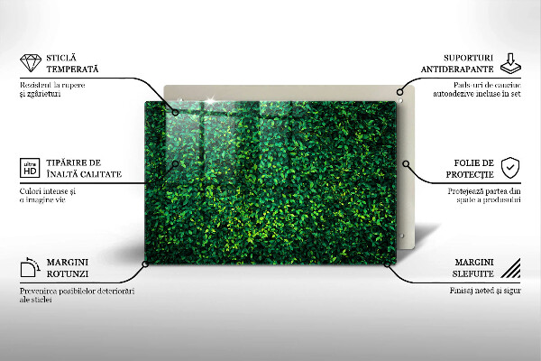 Worktop saver Plant small leaves