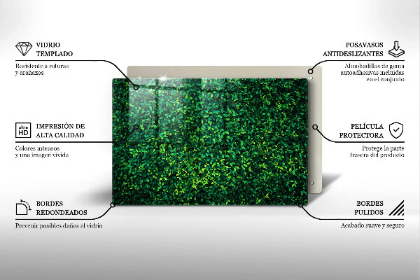 Worktop saver Plant small leaves