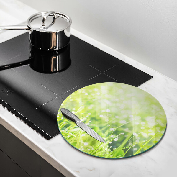 Chopping board glass Nature - grass and dew