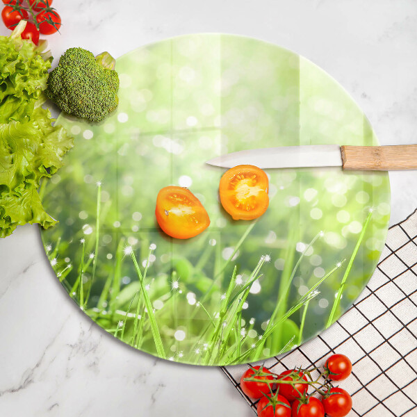 Chopping board glass Nature - grass and dew