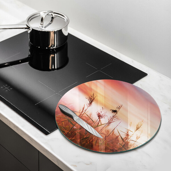 Chopping board glass Landscape of grass fields