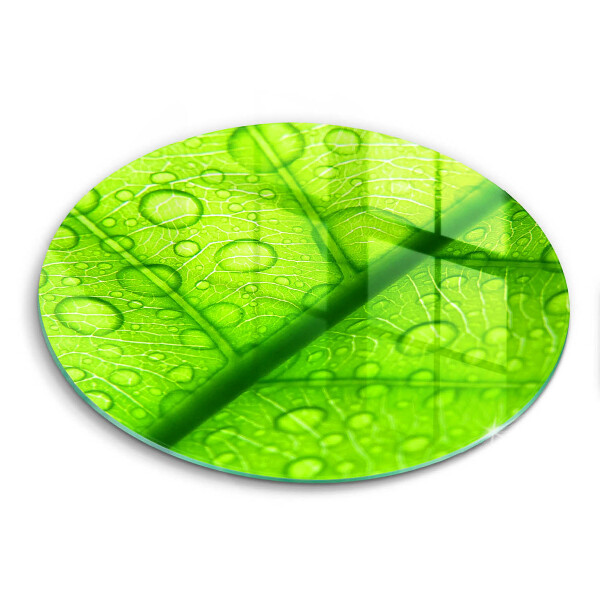 Chopping board glass Leaf closer