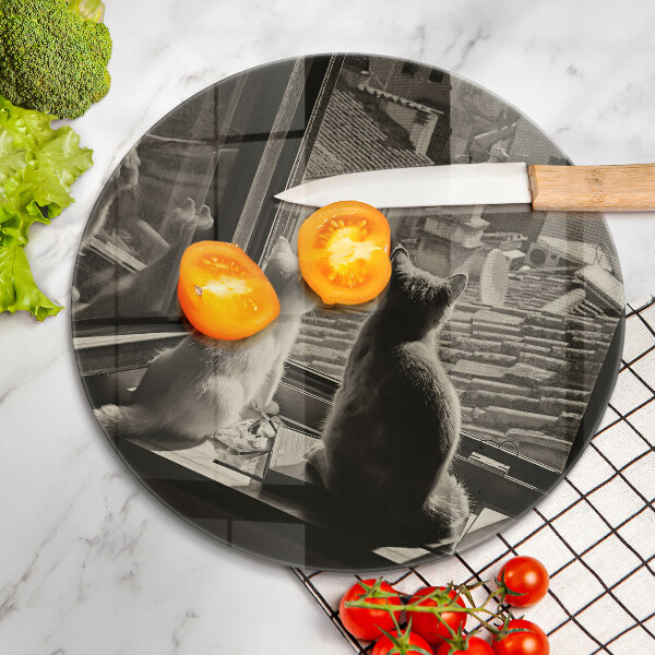 Chopping board glass Cats city and window