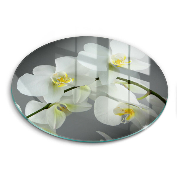 Chopping board glass White orchid flowers