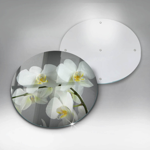 Chopping board glass White orchid flowers