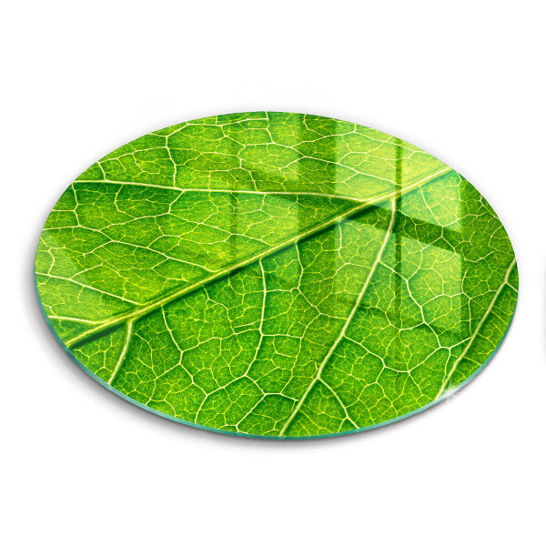 Chopping board glass Leaf lines nature