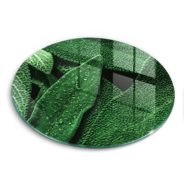 Chopping board glass Plant leaves