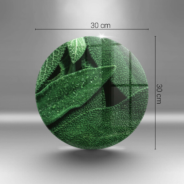 Chopping board glass Plant leaves