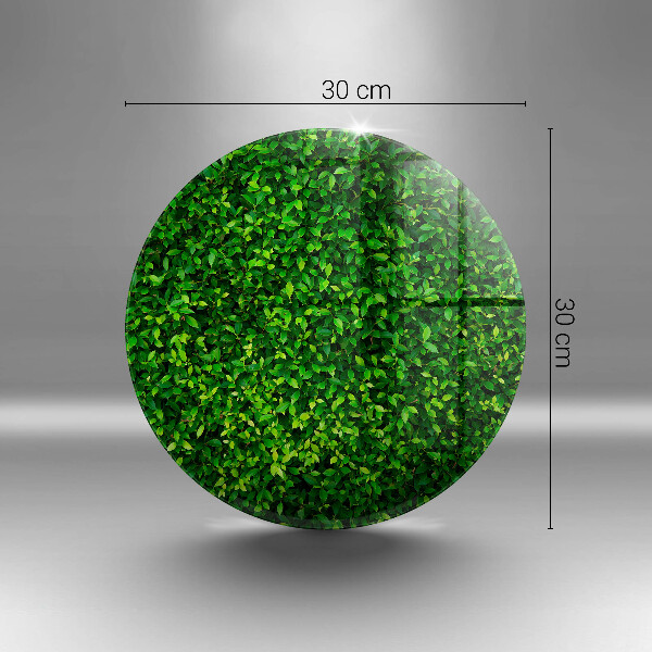 Chopping board glass Plant small leaves