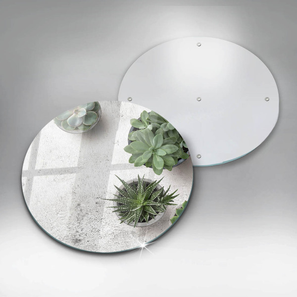 Chopping board glass Succulents on concrete