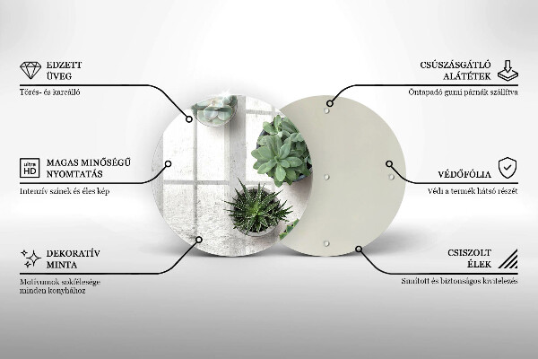 Chopping board glass Succulents on concrete