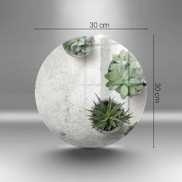 Chopping board glass Succulents on concrete