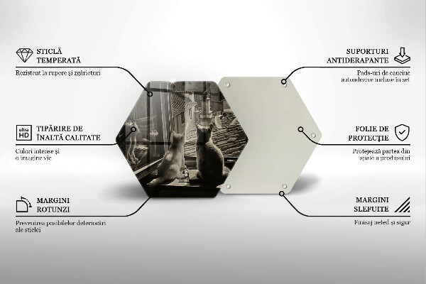 Chopping board Cats city and window