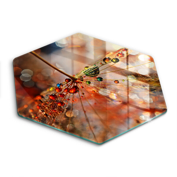 Chopping board glass Wet dandelion