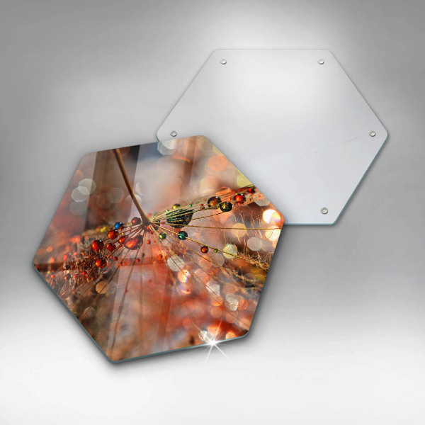 Chopping board glass Wet dandelion