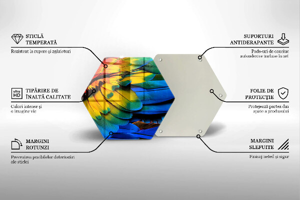 Glass worktop saver Colorful parrots