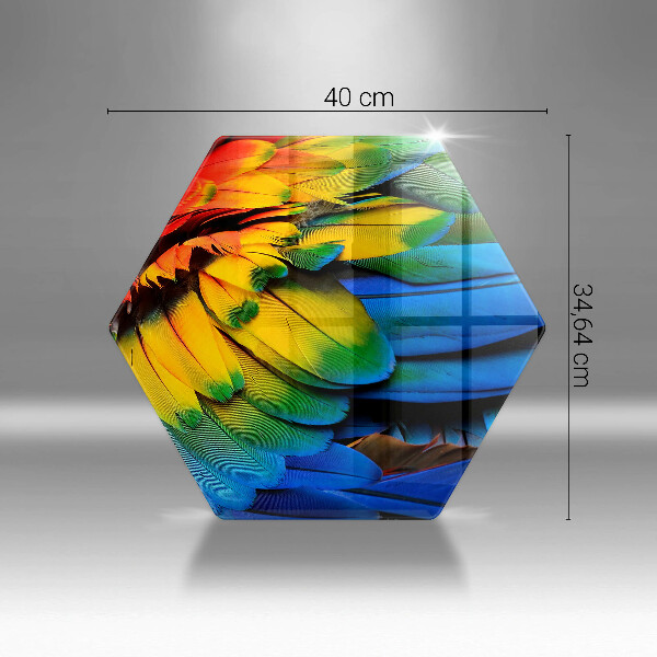 Glass worktop saver Colorful parrots