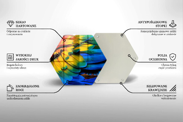 Glass worktop saver Colorful parrots