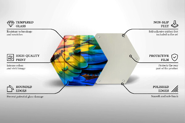 Glass worktop saver Colorful parrots