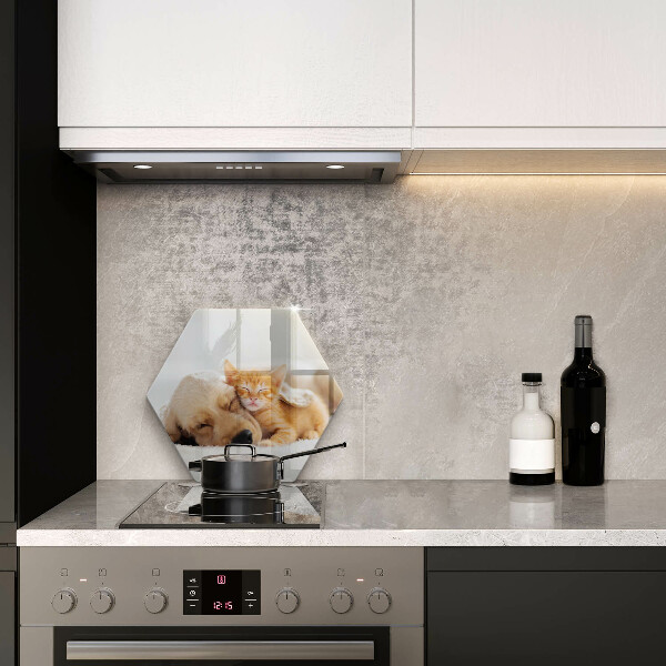 Chopping board Animals dog and cat