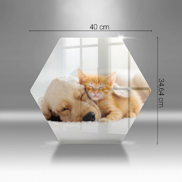 Chopping board Animals dog and cat