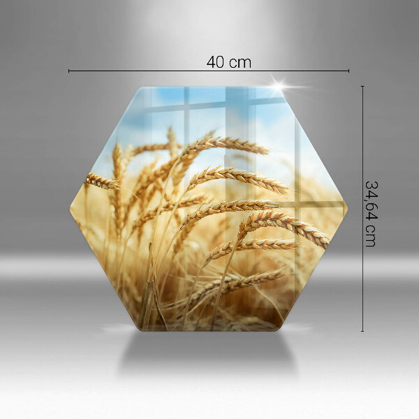 Glass worktop saver Cereals in the field