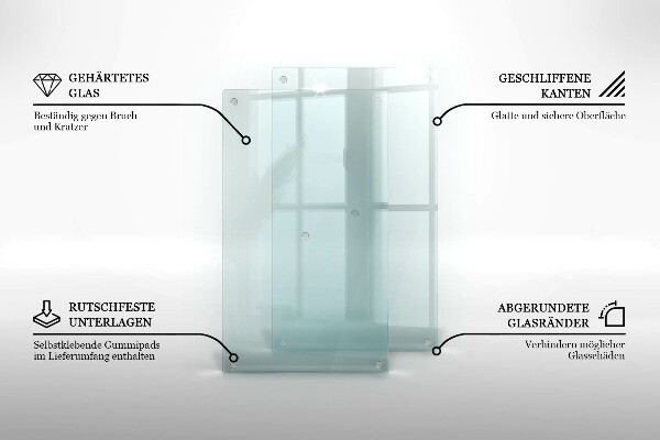Transparent cutting board 2x12x20 in