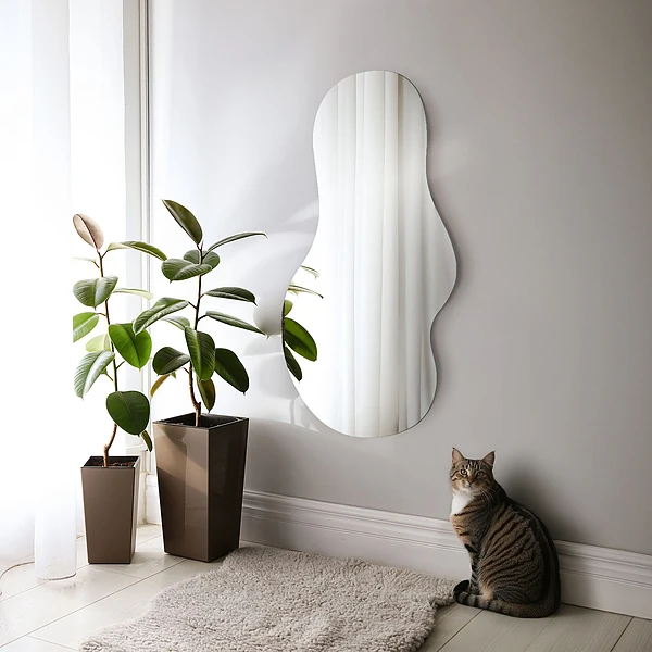 Asymmetrical mirror elegant 15x31 in