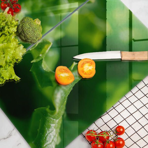 Kitchen worktop saver Lettuce leaves