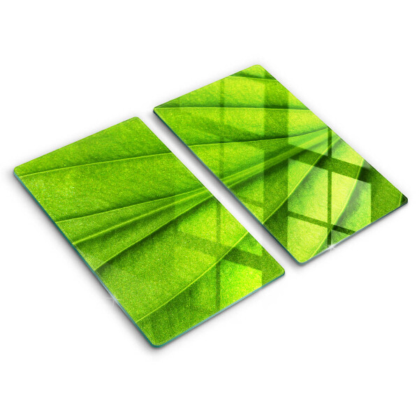 Induction hob cover Nature leaf veins