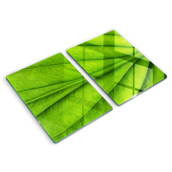 Induction hob cover Nature leaf veins