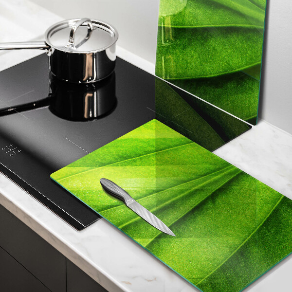 Induction hob cover Nature leaf veins