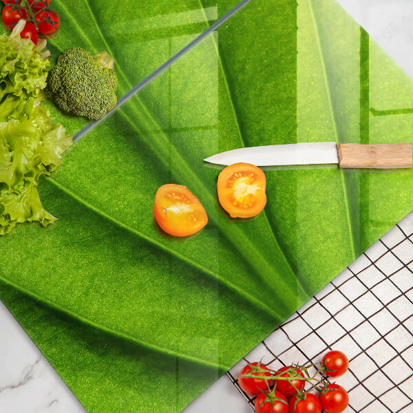 Induction hob cover Nature leaf veins