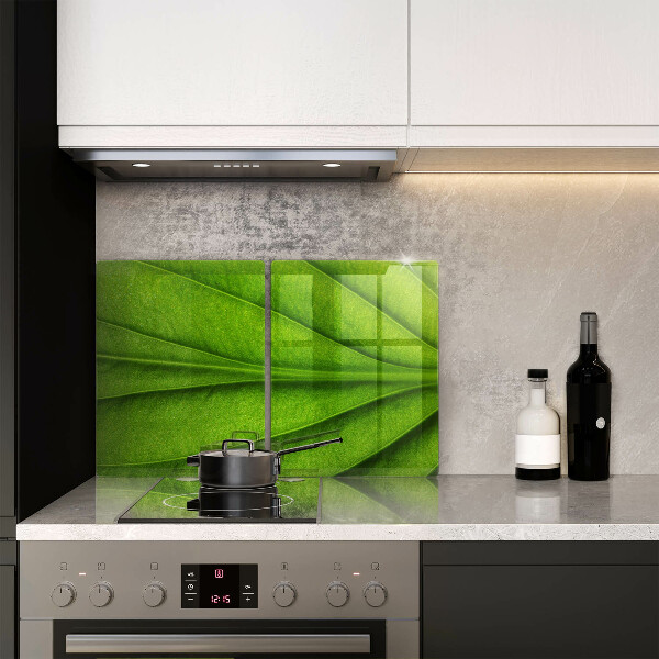 Induction hob cover Nature leaf veins
