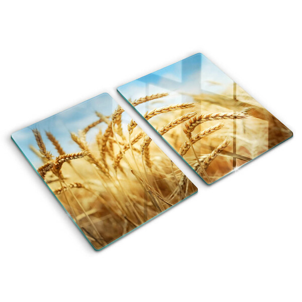 Induction hob cover Cereals in the field